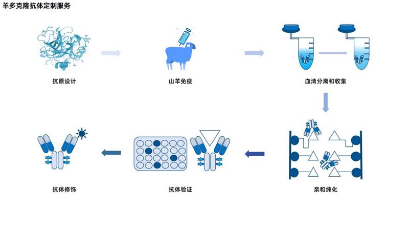 科研服务