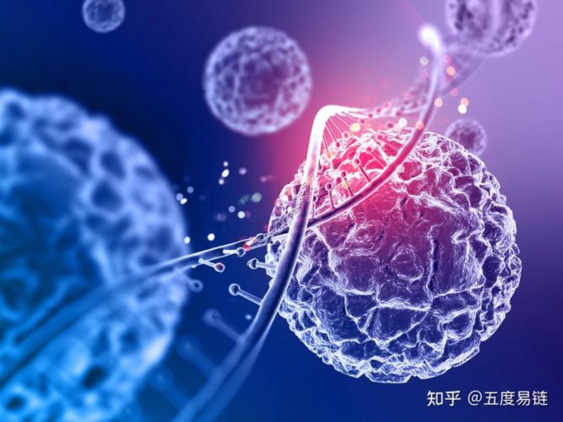 细胞治疗
